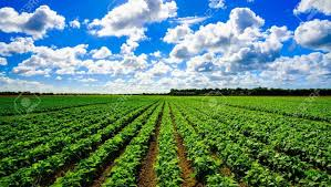 Sustainable Agriculture
